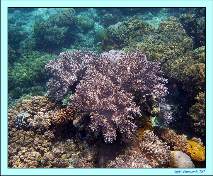 2012 - 07 - Apoh Island 62